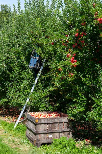 03 03