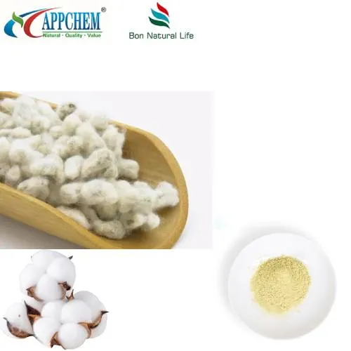 Ekstrakt bombaževega semena v prahu