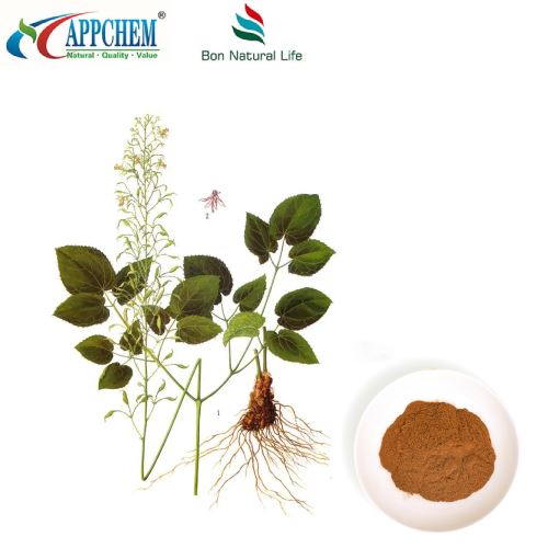 Horny Goat Weed v prahu