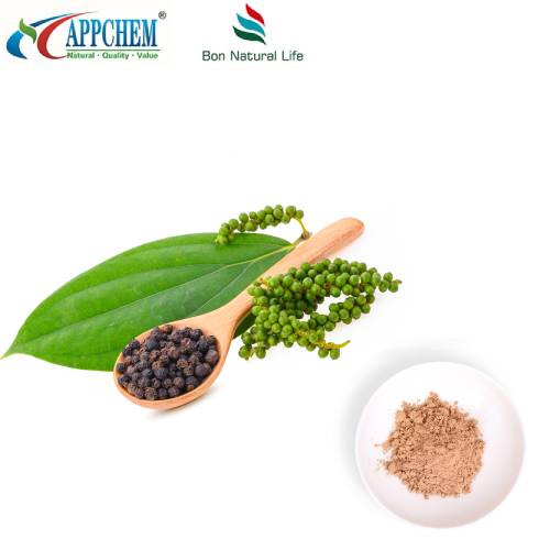 Izvleček sadja Ligustrum v prahu