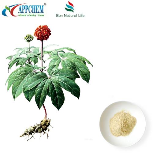Notoginseng Radix Et Rhizoma Ekstrakt