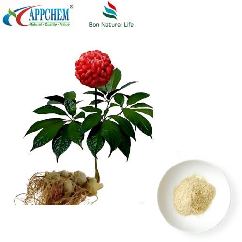 Izvleček korenine Notoginseng