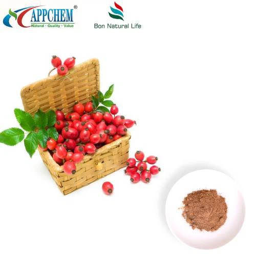 Prašek izvlečka šipka