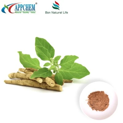 Ashwagandha Extract v prahu (Withanolides) proizvodnja 30655-48-2