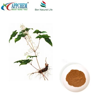 Epimedium ekstrakt v prahu