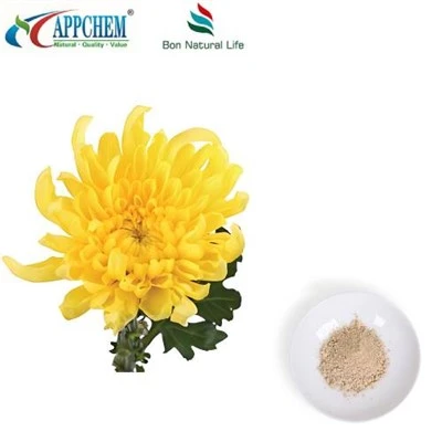 Flos Chrysanthemi ekstrakt v prahu