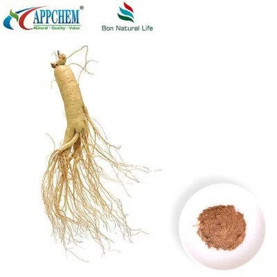 Panax Ginseng ekstrakt v prahu