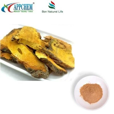 Resveratrol Polygonum Cuspidatum izvleček v prahu