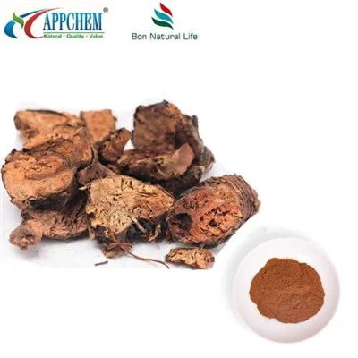 Rhodiola Rosea izvleček v prahu