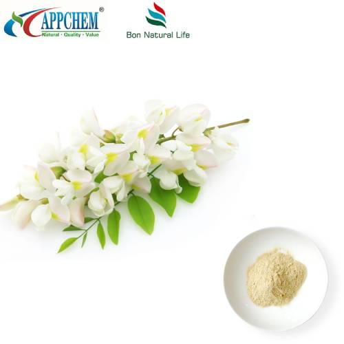 Sophora Japonica ekstrakt v prahu